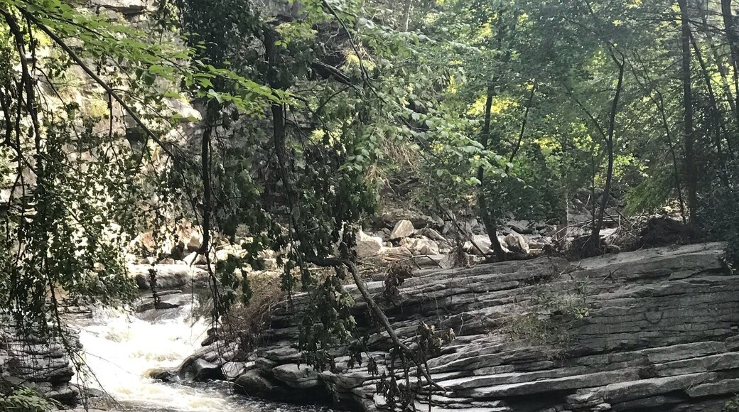Peaceful Saturday morning run, with a quick pause at the Nay Aug Gorge