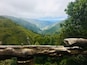 Un paysage montagneux, avec une végétation luxuriante et un pont en bois.