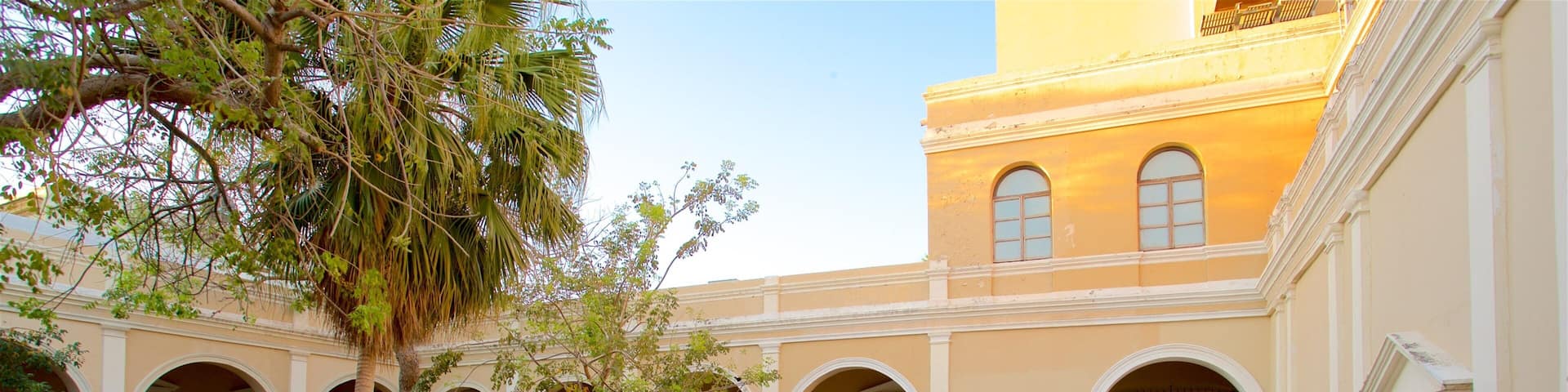 Montejo House featuring a garden