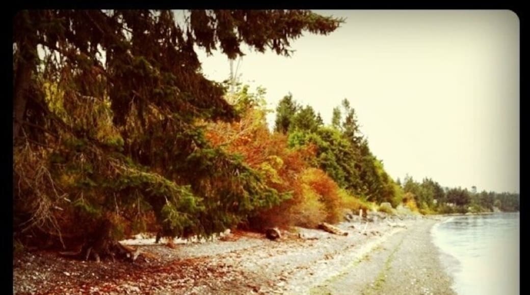 Mill bay beach. Good quiet place to just sit and skip rocks.