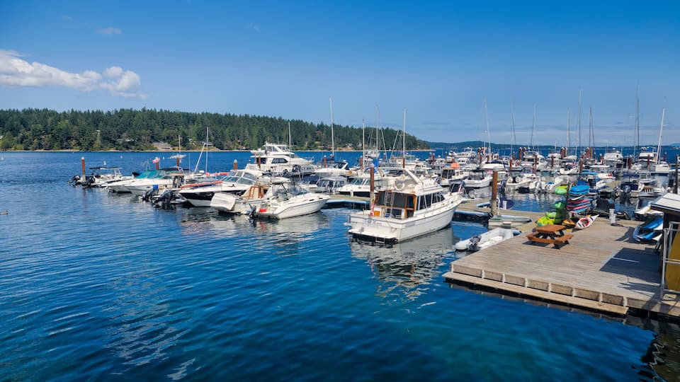 A marina with various boats docked, a wooden pier, and a forested shoreline in the background.