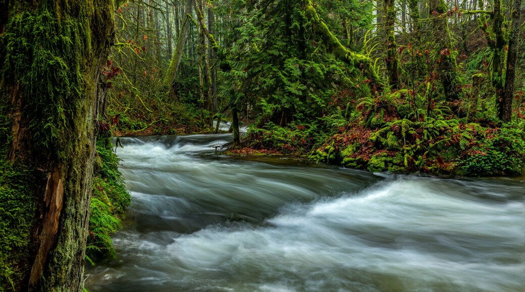 Fast Water on Shawnigan Creek Vancouver Island BC