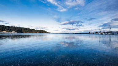 Panoramic view of Mill Bay Marina taken in Vancouver Island, Bc, Canada