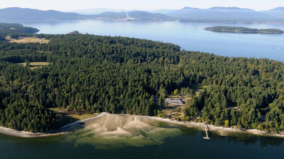 A forested peninsula with a clear lake, a dock, and distant mountains.