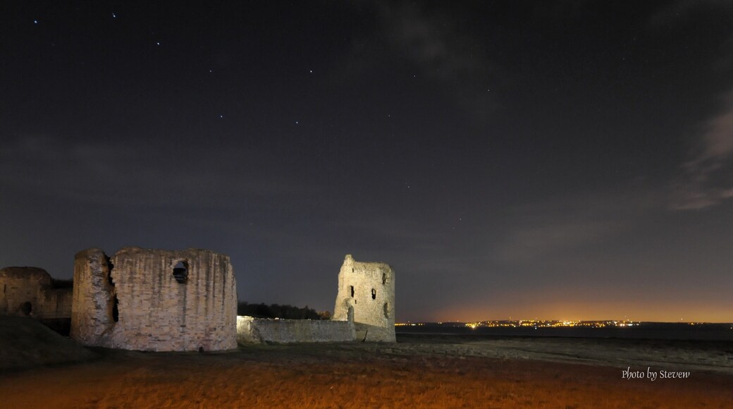 Flint Castle and The Plough ( Dipper )