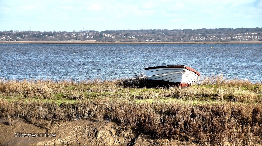 The Boat
River Dee
Flint