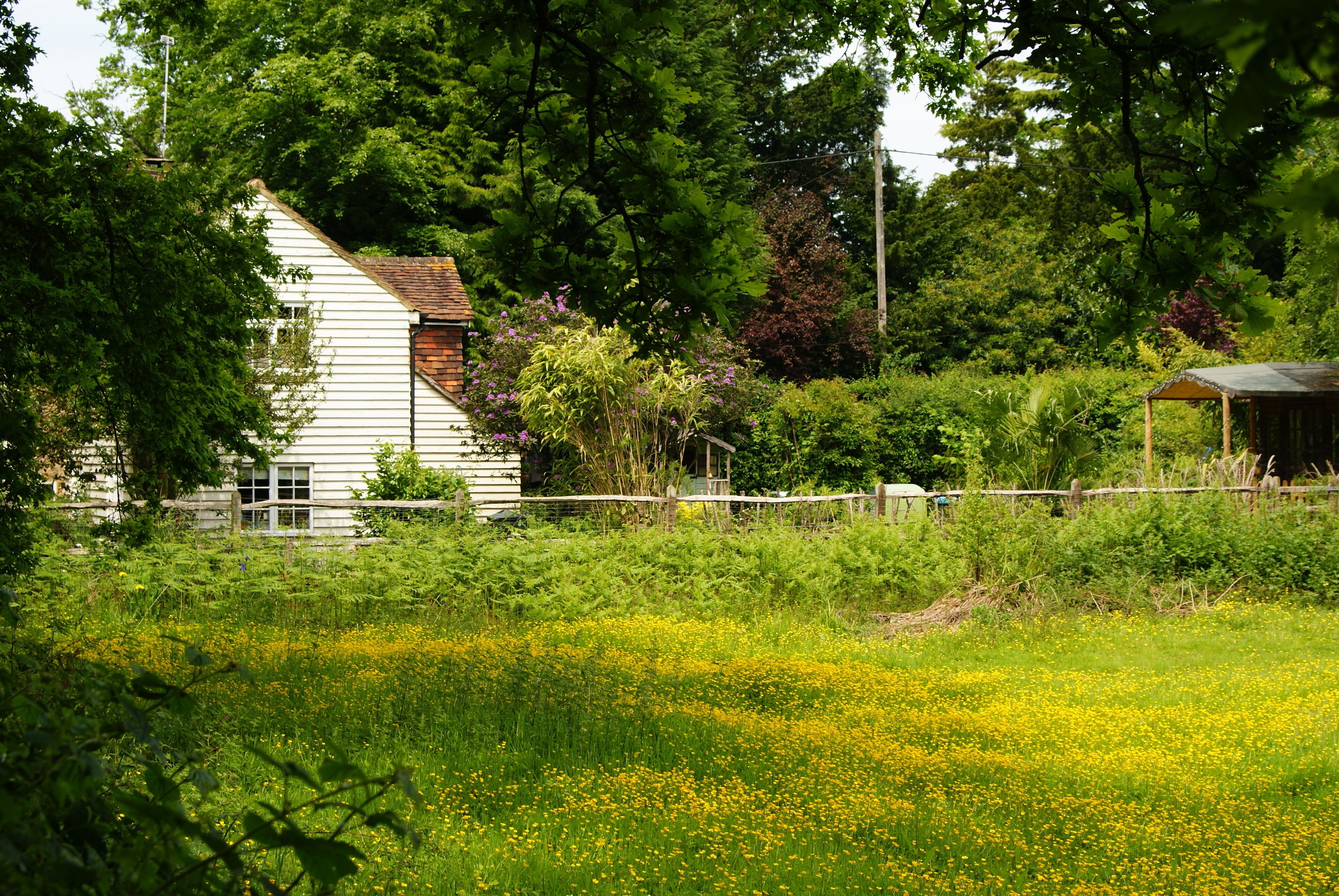 In the Corner of the Field, Lower Beeding, Sussex