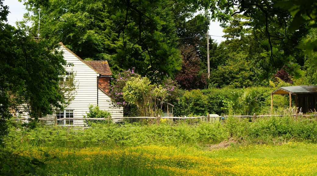 In the Corner of the Field, Lower Beeding, Sussex