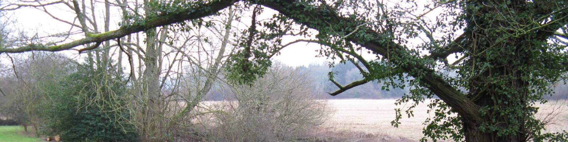 The River Arun near Hill House