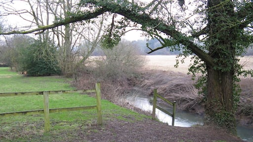 The River Arun near Hill House