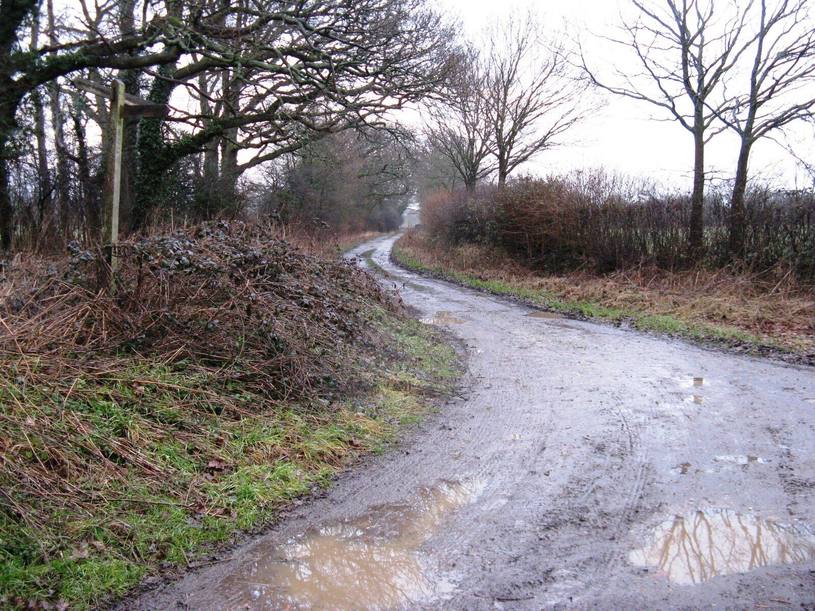 Farm track to Theale Farm