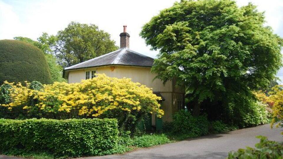A house with a yellow facade, surrounded by lush greenery and a well-maintained garden.