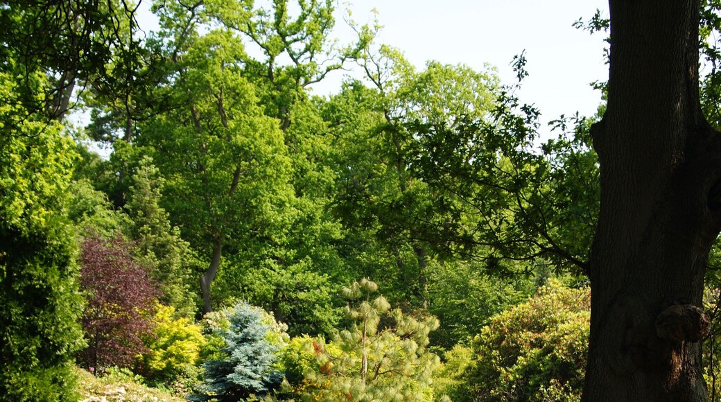 Leonardslee Gardens, Sussex (1)