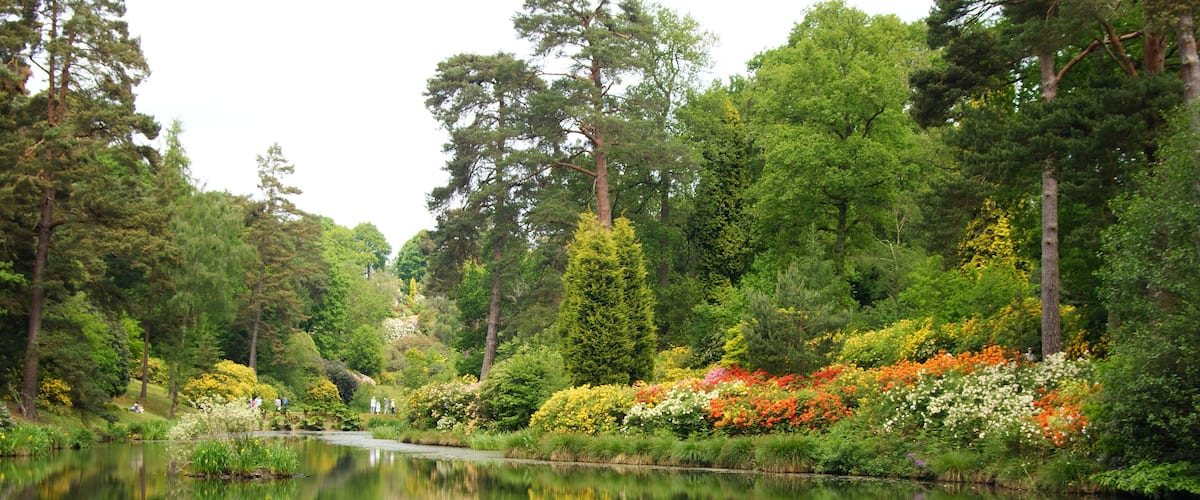 Leonardslee Gardens, Sussex (9)