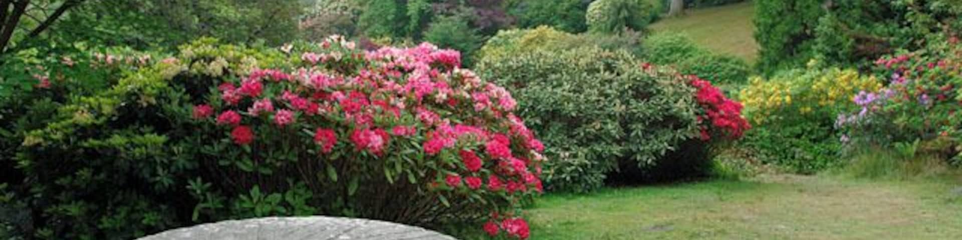 Leonardslee Gardens - view from memorial