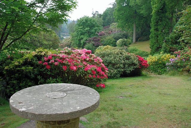 A garden with a stone table, lush greenery, and blooming flowers.