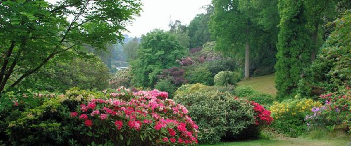 A garden with a stone table, lush greenery, and blooming flowers.