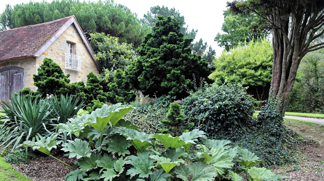 Ornamental shrub bed, including Gunnera manicata ( Giant rhubarb ), at Cook's Farm from the public bridleway through the grounds of the former Architectural Plants Ltd. nursery and display botanical garden on Nuthurst Street (aka Harriots Hill) in the village of Nuthurst, West Sussex, England. Gunnera manicata has received the Royal Horticultural Society Award of Garden Merit. Camera: Canon EOS 6D Mark II with Canon EF 24-105mm F4L IS USM lens. Software: File lens-corrected, optimized, perhaps cropped, with DxO OpticsPro 11 Elite, and likely further optimized with Adobe Photoshop CS2.