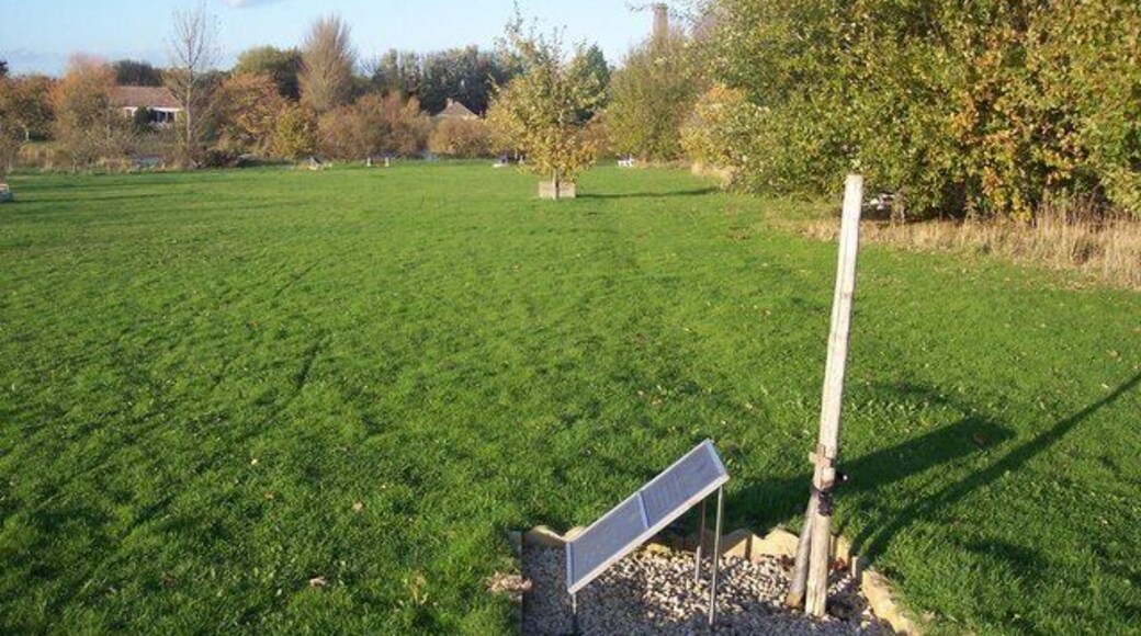 (Was) The Arnhem Oak, Memorial Way, Tonge Mill Park This tree is the only one of the seven memorial trees in this avenue that has died. Hopefully it will be replaced, with a living tree soon. The plaque with the tree is divided into two sections. The 1st section reads "1944 - 2004. In this the 60th Anniversary year of the battle of Arnhem this plaque is dedicated to the Courage Sacrifice and Suffering of the people of Arnhem during those fateful days in September 1944. They alone with God, are the guardians of all those gallant men of the 1st Airborne Division who paid the supreme sacrifice and rest in Oosterbeek Cemetery. The bond of friendship formed in those dark days will last forever "Each year the leaves of Autumn shed, upon the likeness of my friend" Dedicated on 8th May 2004 The Parachute Regimental Association, Sittingbourne Branch." The 2nd Section reads "The Arnhem Oak. This tree was brought from the Town of Arnhem and planted here to commemorate the 60th Anniversary of 'Operation Market Garden' which took place in September 1944. It is dedicated to the memory of all the men of the 1st Airborne Division and all those who took part in the battle and to those of them to whom it was called upon to pay the Supreme Sacrifice and now rest in Oosterbeek Cemetery, Holland. 'Theirs is the Glory' None Shall Be Forgotten. Dedicated on Saturday 8th May 2004. The Parachute Regimental Association, Sittingbourne Branch."