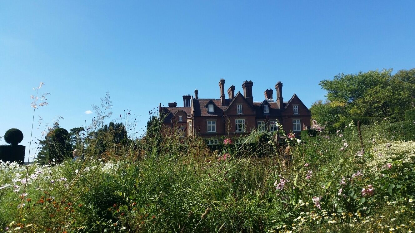 A large, red brick house with multiple chimneys, surrounded by a lush garden with various wildflowers and tall grasses.