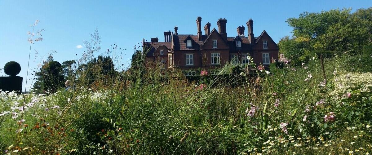 A large, red brick house with multiple chimneys, surrounded by a lush garden with various wildflowers and tall grasses.