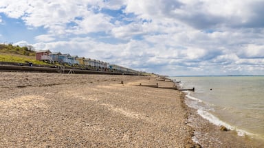 A pebbled beach with colorful seaside houses and a cloudy sky.