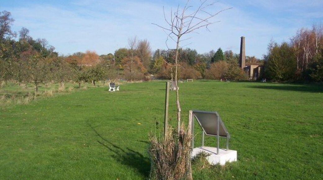 The Royal Air Force Oak Tree, Memorial Way, Tong Mill Park The plaque with this tree reads "This tree is Dedicated to the Memory of the Men and Women of The Royal Air Force. Who made the Supreme Sacrifice in the Service of their Country. Since its formation in 1918. The Royal Air Force. The Women's Royal Air Force and The Women's Auxiliary Air Force. 'Time after time, we saw the cost. To all who fought so well, yet lost. For then a fiery plunge through space, In another Time, another Place'. This Plaque was Unveiled by Squadron Leader A.J.Garlant. RAF (retired) 'We Will Remember Them' The Sittingbourne and Milton Regis Branch. The Royal British Legion". The below that is a line drawing of a Handley Page Halifax Bomber. At the top of the plaque is two line drawings of a Spitfire and Hurricane fighters beside the Royal Air Force Crest.