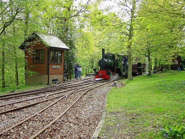 A steam train on tracks surrounded by trees.