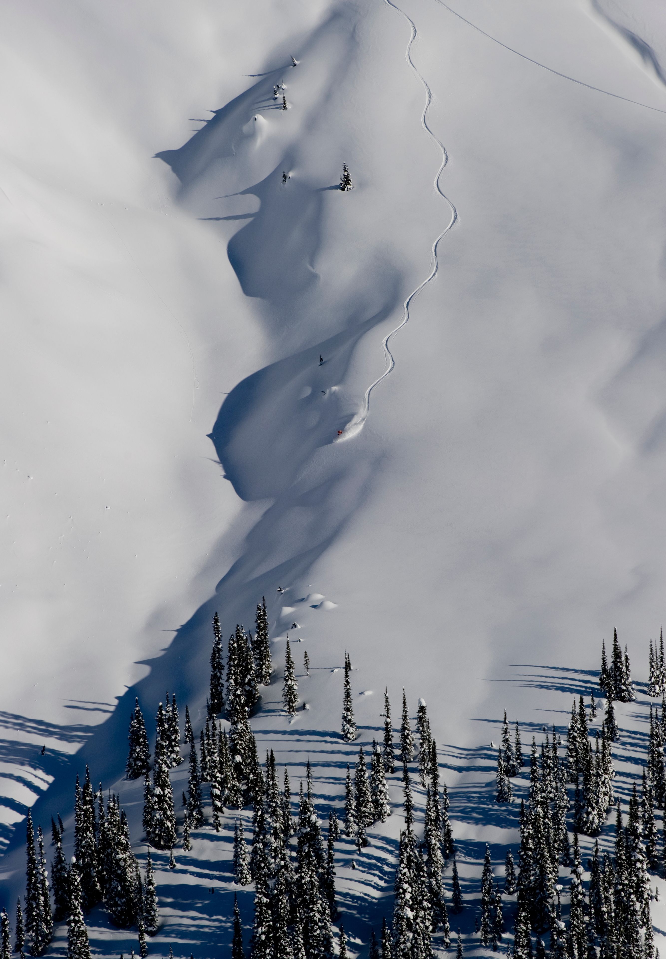 A snow-covered mountain with ski tracks and a forest of evergreen trees.