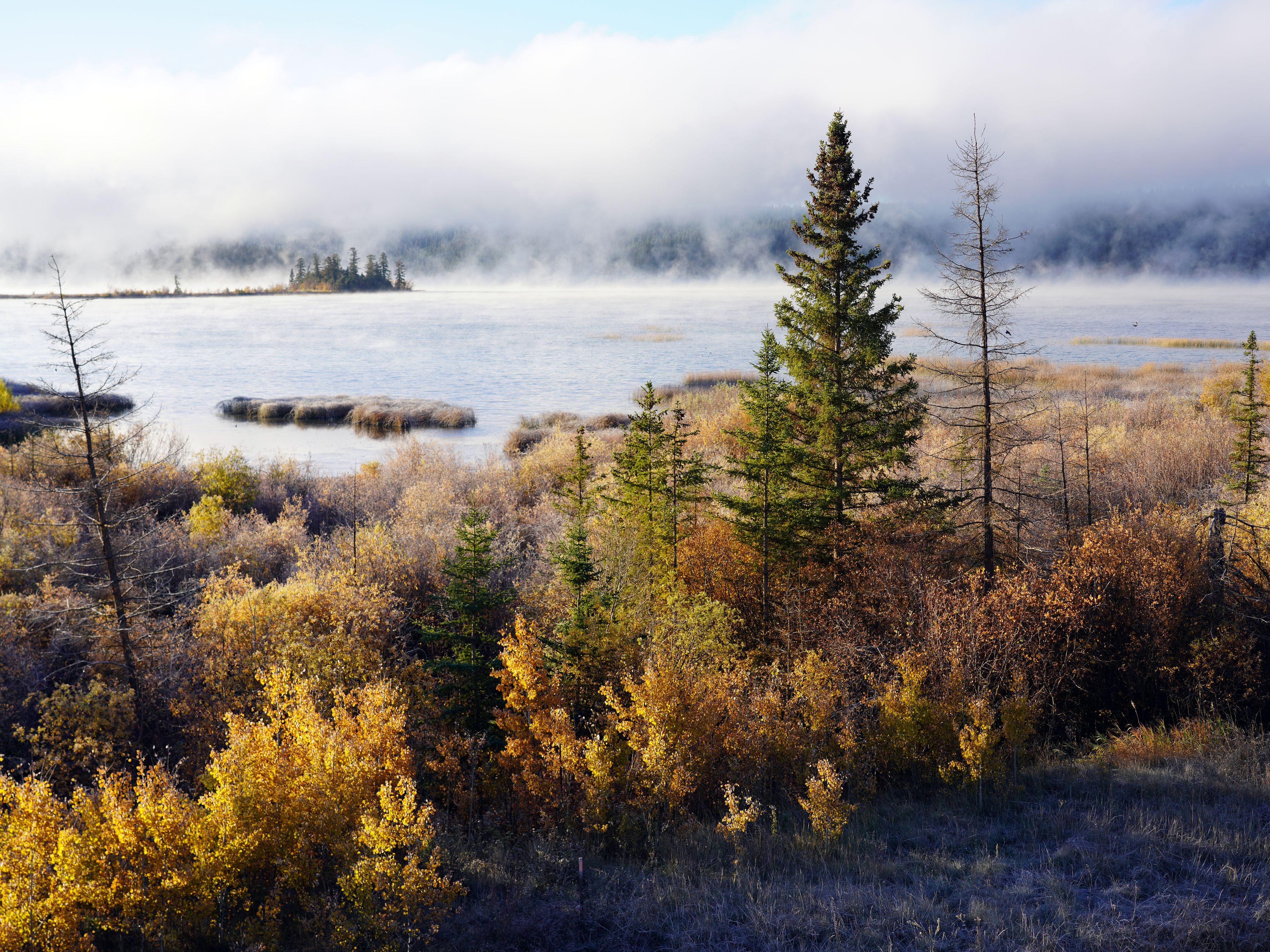 A misty lake surrounded by autumn-colored trees and a dense forest.