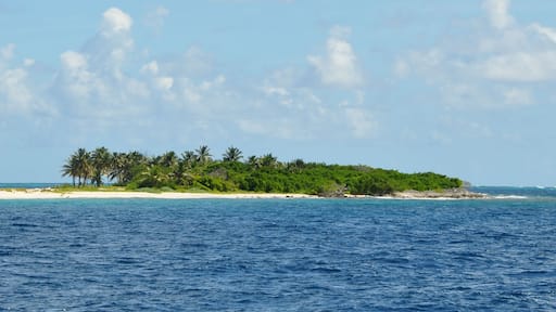 petit tabac island, les grenadines