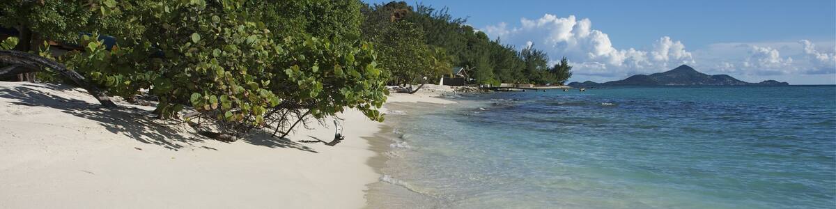 palm island st vincent and the grenadines caribbean 41
