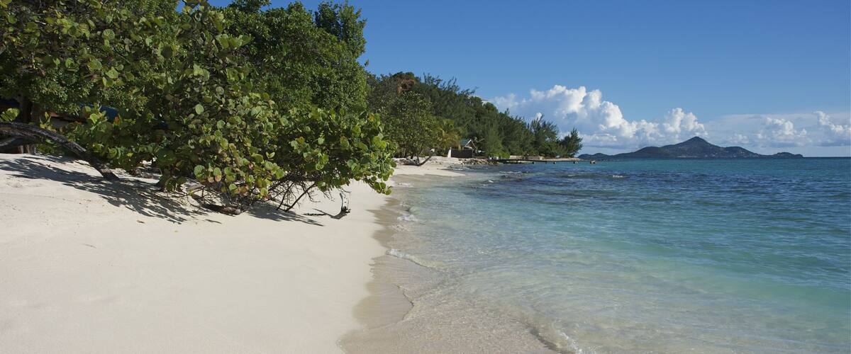 palm island st vincent and the grenadines caribbean 41