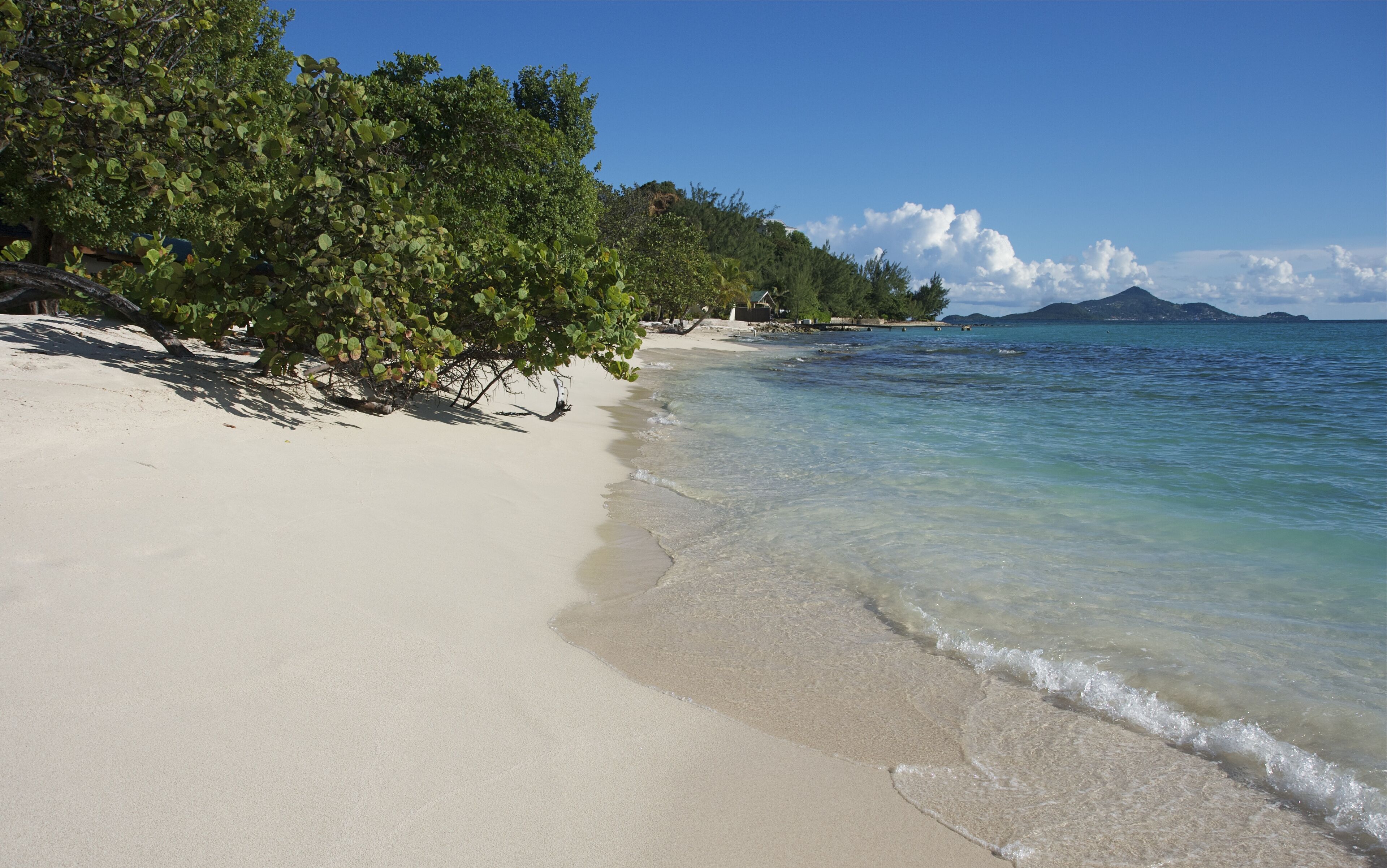palm island st vincent and the grenadines caribbean 41