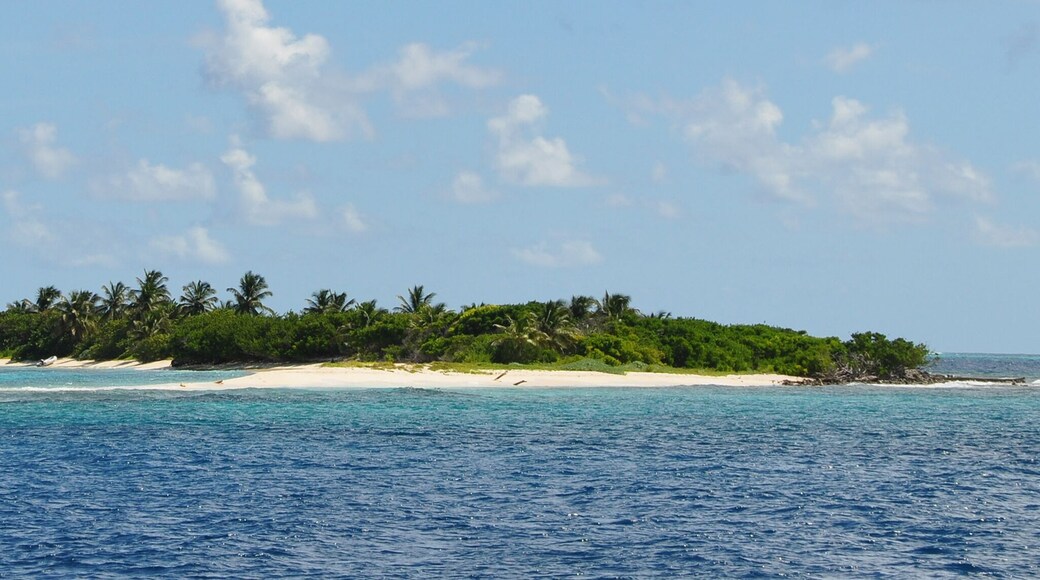 petit tabac island, les grenadines