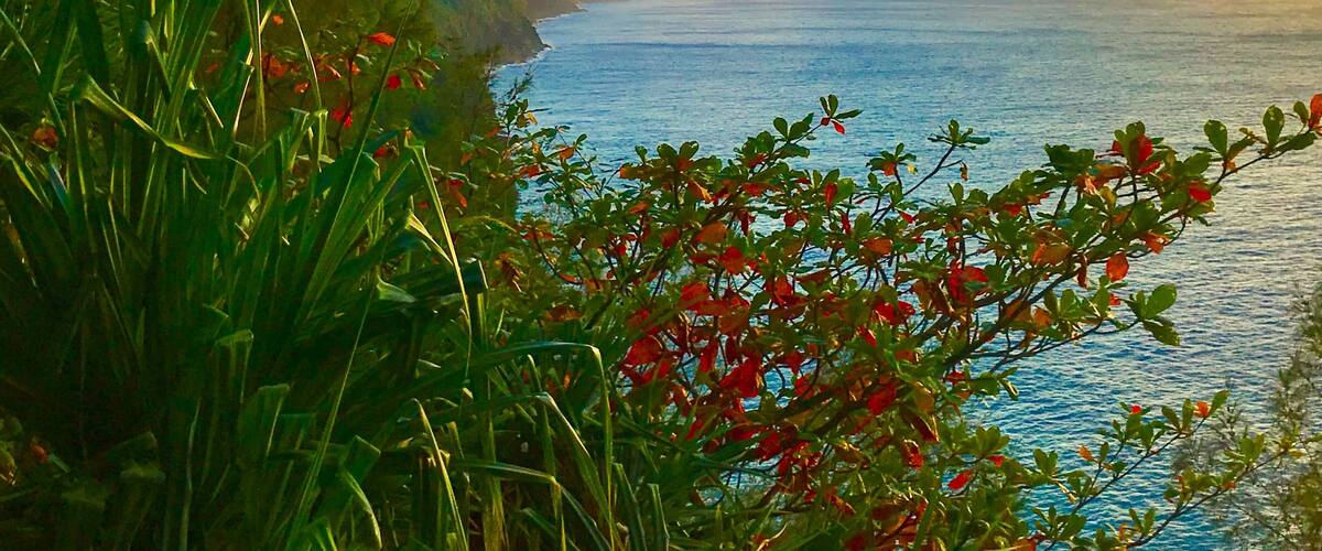 A half mile hike up a steep rocky trail from Roads End on Kauai rewards you with this breathtaking peekaboo view of the stunning NaโPali coast. Insider tips; wear decent footwear (I wore flip flops) beware of slippery rocks from frequent rain and leave ample time to get back (I had to race down slippery rocks in the gathering darkness in said flip flops).