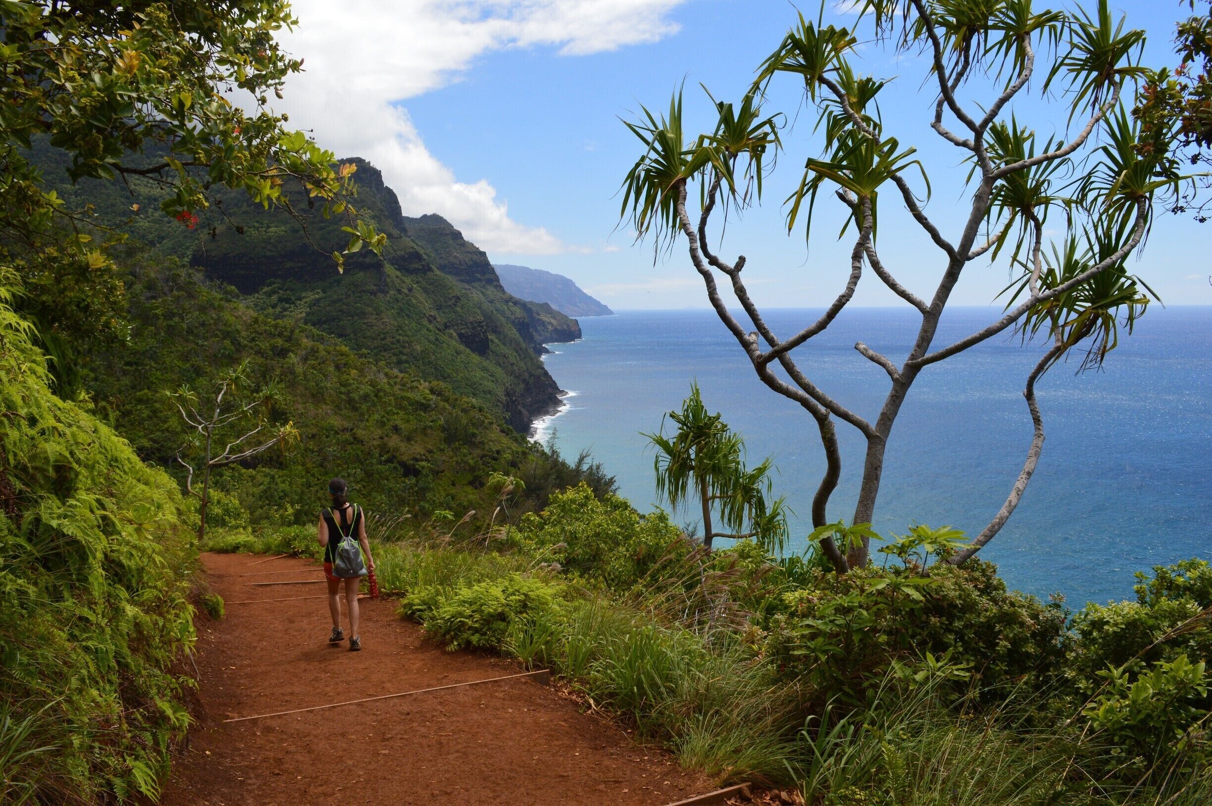 Beautiful trail in Kauai