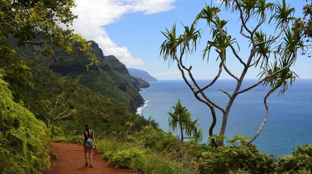 Beautiful trail in Kauai