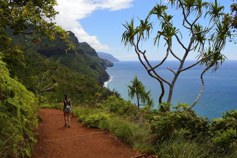 A hiker on a dirt path with a view of the ocean and a mountainous landscape.