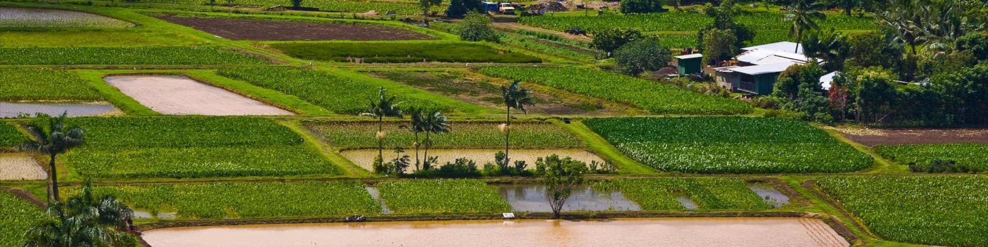 Haena showing farmland and landscape views