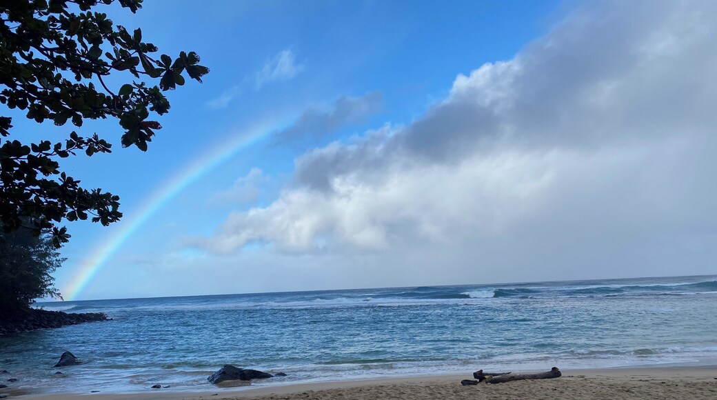 Go to the end of the road and chase rainbows.