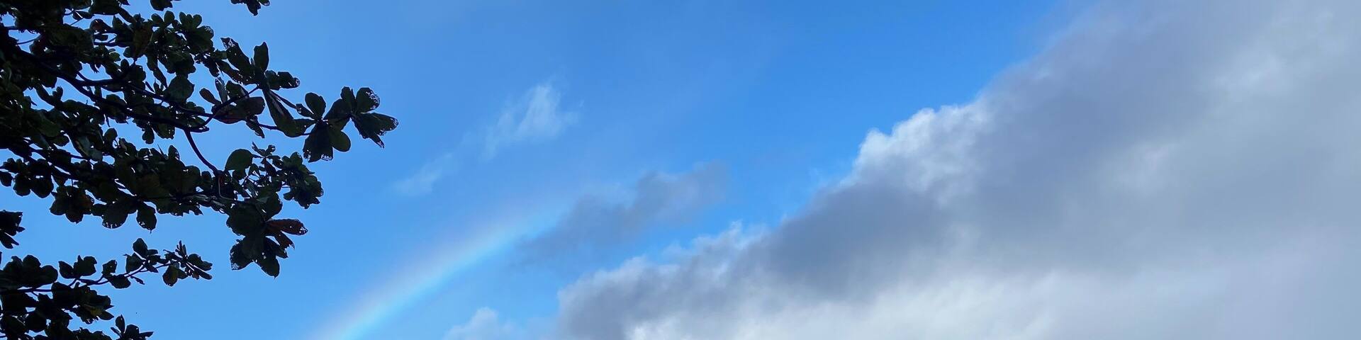 Go to the end of the road and chase rainbows.