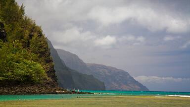 Eine Küstenlandschaft mit einem Berg, türkisblauem Wasser und einer Wiese mit Menschen.