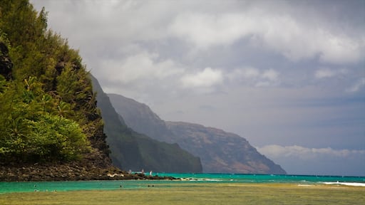 Haena showing mist or fog, a sandy beach and rocky coastline
