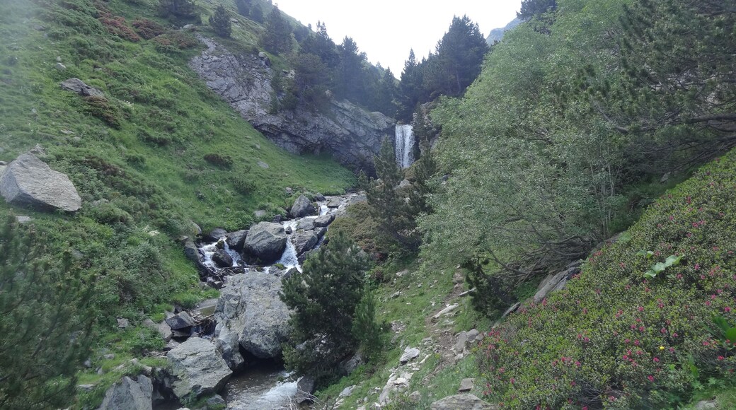 Vall d'Eina (juliol 2013)