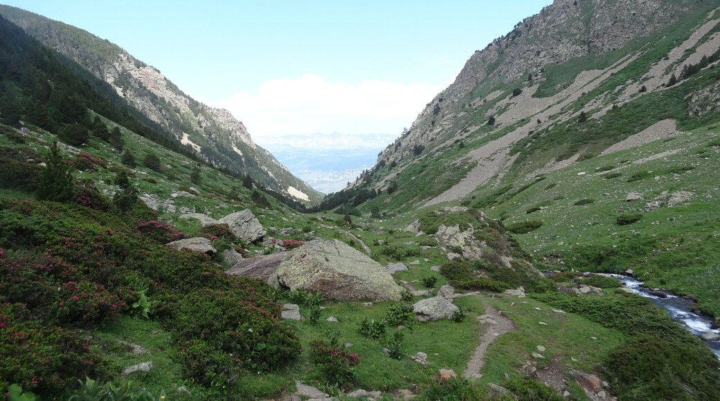 Vall d'Eina (juliol 2013)