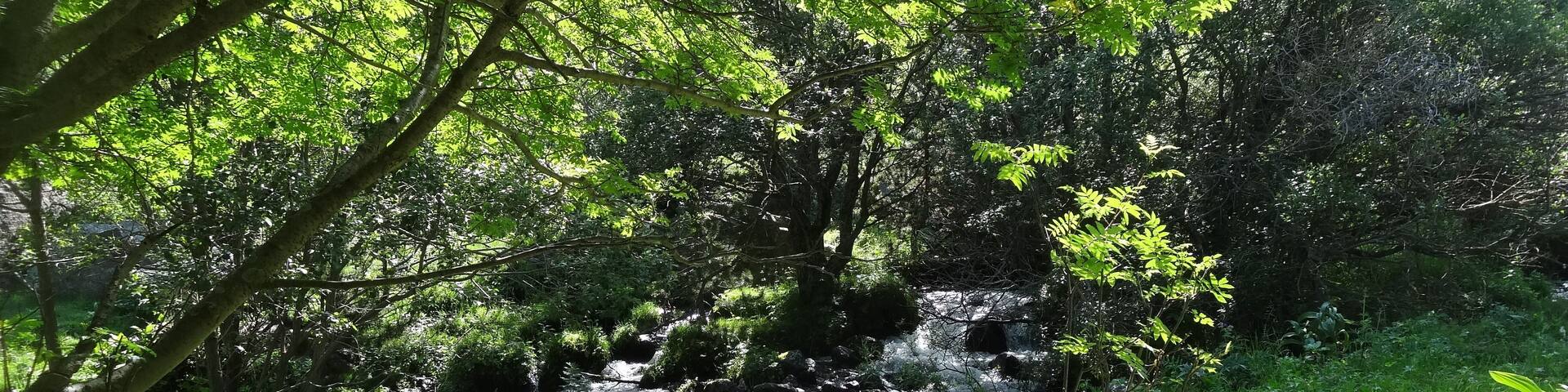 Vall d'Eina (juliol 2013)