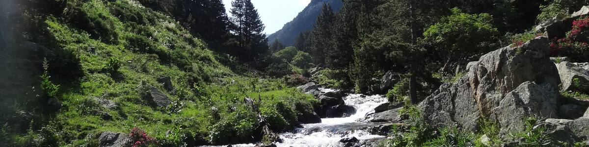 Vall d'Eina (juliol 2013)