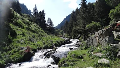 A mountain stream flowing through a valley with lush greenery and rocky terrain.