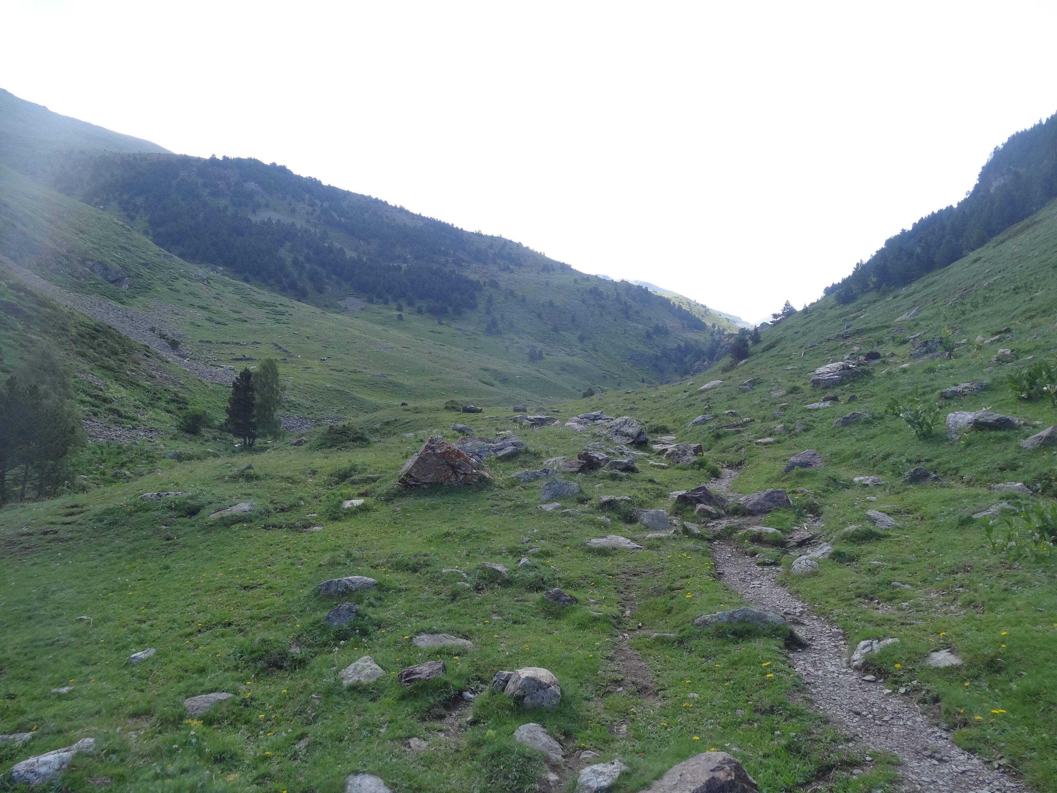 Vall d'Eina (juliol 2013)